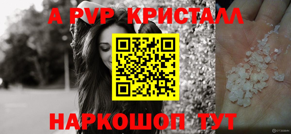 Alfa_PVP СК Курчатов