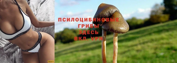 марихуана Абаза