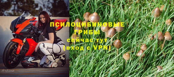 марихуана Абаза