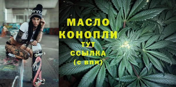 гашик Новодвинск