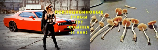 гашиш Абинск