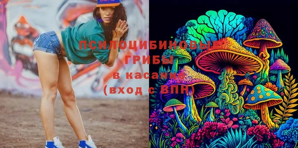 марихуана Абаза