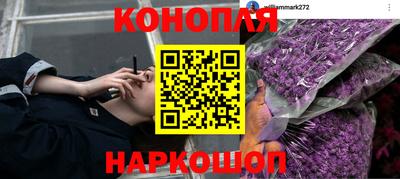 каннабис Кандалакша