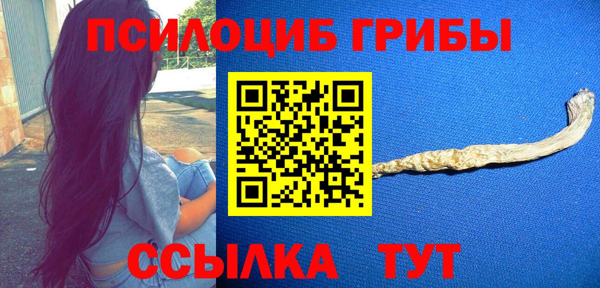 Курчатов  Псилоцибиновые грибы ЛСД  Галлюциногенные грибы Cubensis  Вход с VPN 